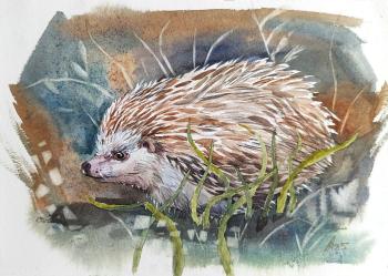 Hedgehog