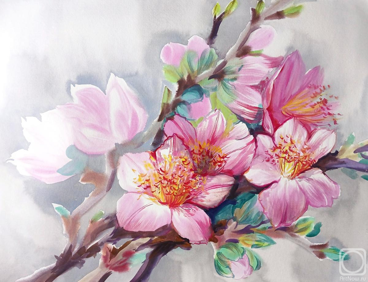 �������. ���������� ���������. �������