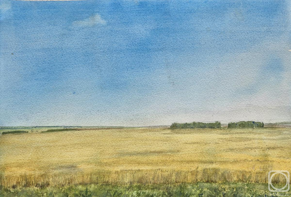 �������. ���������� ���������. �������� ���� #1