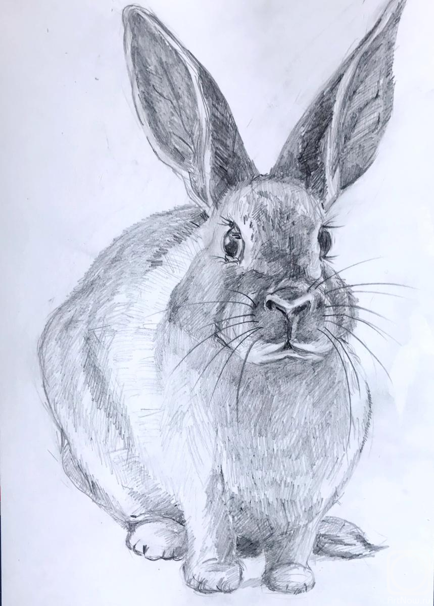 �������. ������ �������. ����