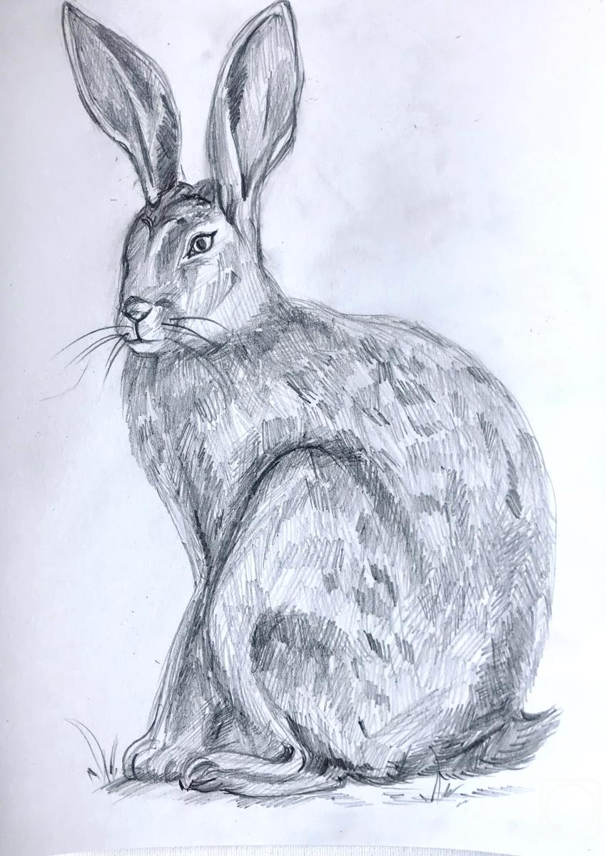 �������. ������ �������. ����