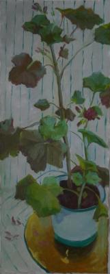 �����������. ����������� �������