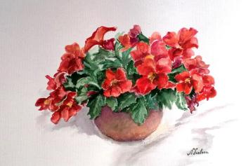 ����������� ����������. ������� �������