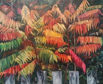 �����. ������ ������