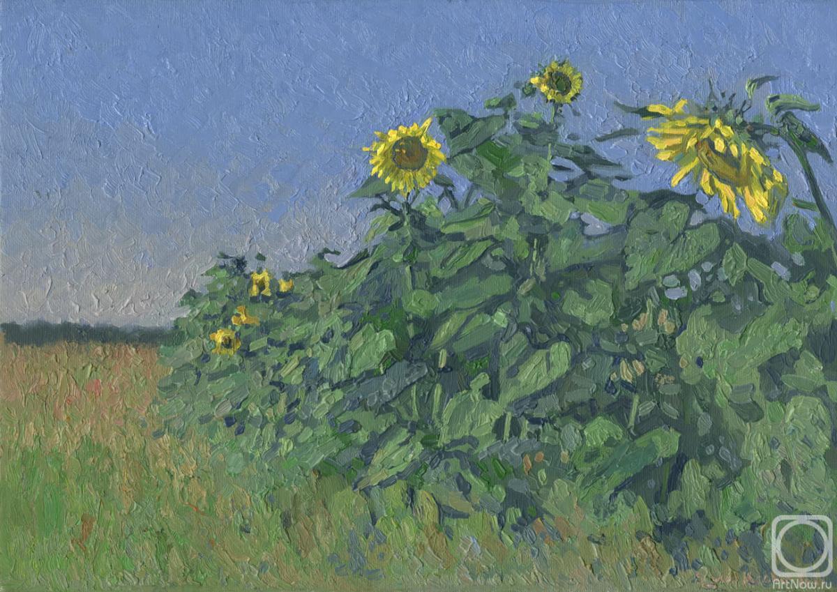 Kozhin Simon. August. Summer gifts. Sunflowers