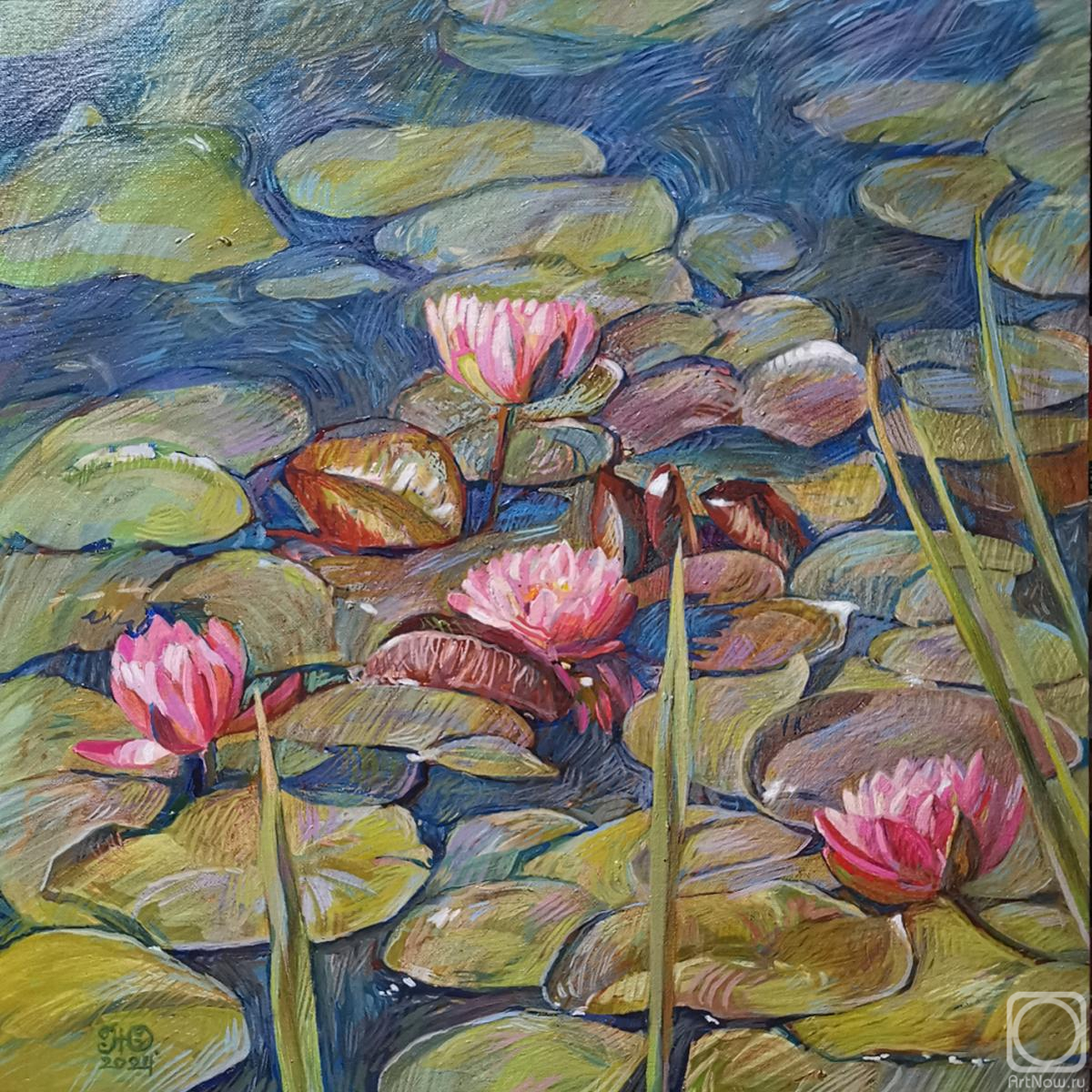 ������� ������ �� ������. ��������� ����. ������� ������