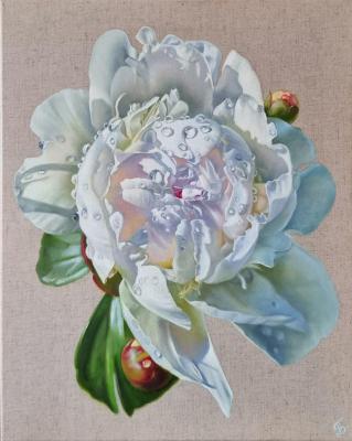 The scent of freshness