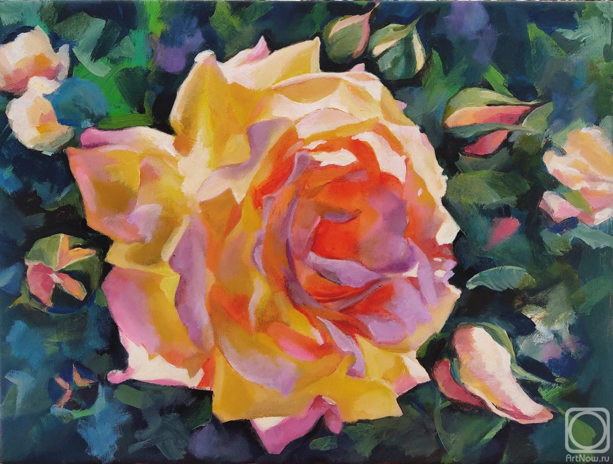 ������� ������ �� ������. ������ �����. �������� ����