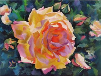 ������� ��������� ����