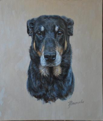 ����������� �������. �������� �������