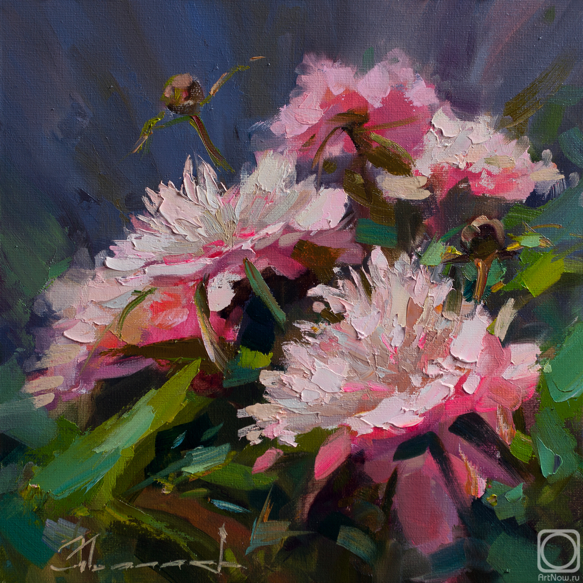 ������� ������ �� ������. ������ �������. ������ ������