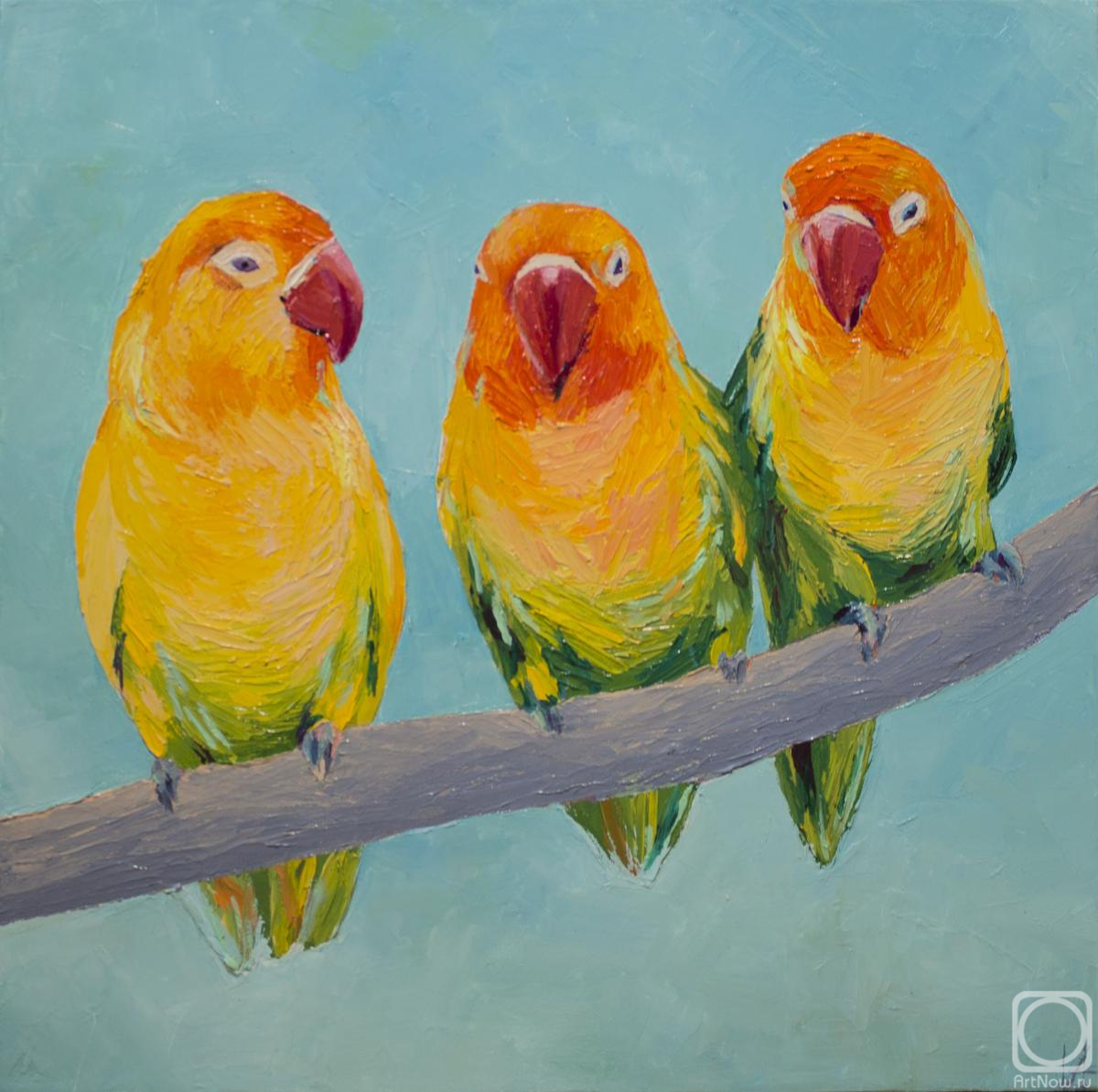 ������� ������ �� ������. �������� �����. �������