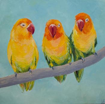 Parrots