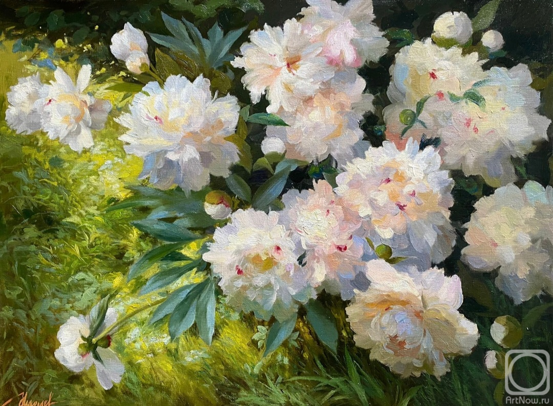 ������� ������ �� ������. �������� ����. ���� �����