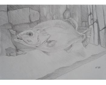 ������� ���� ���������