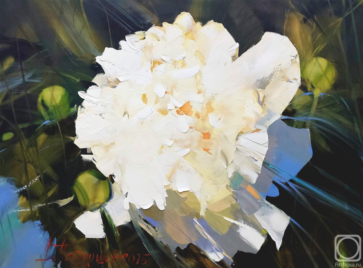 ������� ������ �� ������. �������� �������. Amalia Olson