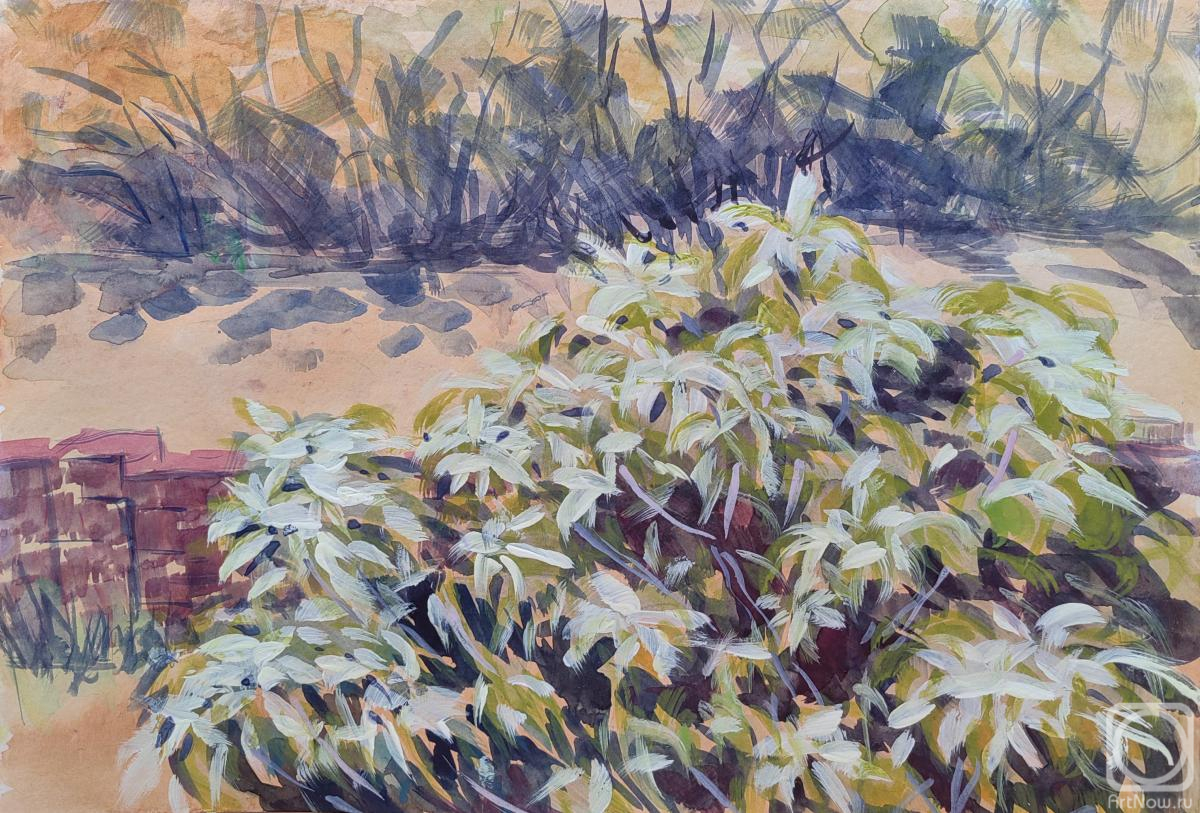 �������. ������ ������. ���� ��� �����