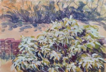 ���� ��� �����. ������ ������