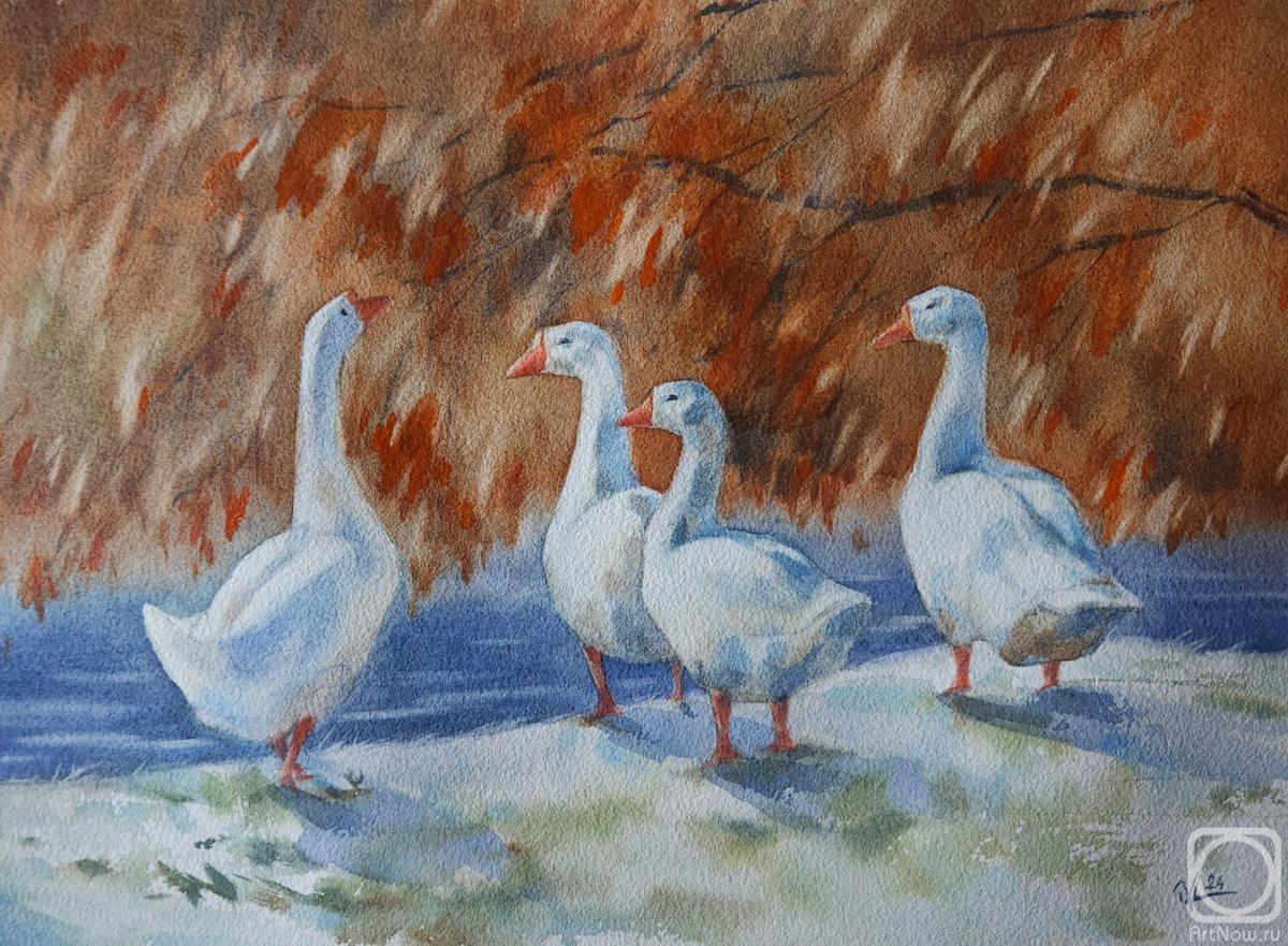 �������. ������� ����. ����