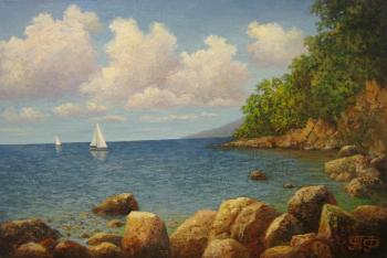 Sea. Overcast. Fruleva Tatiana