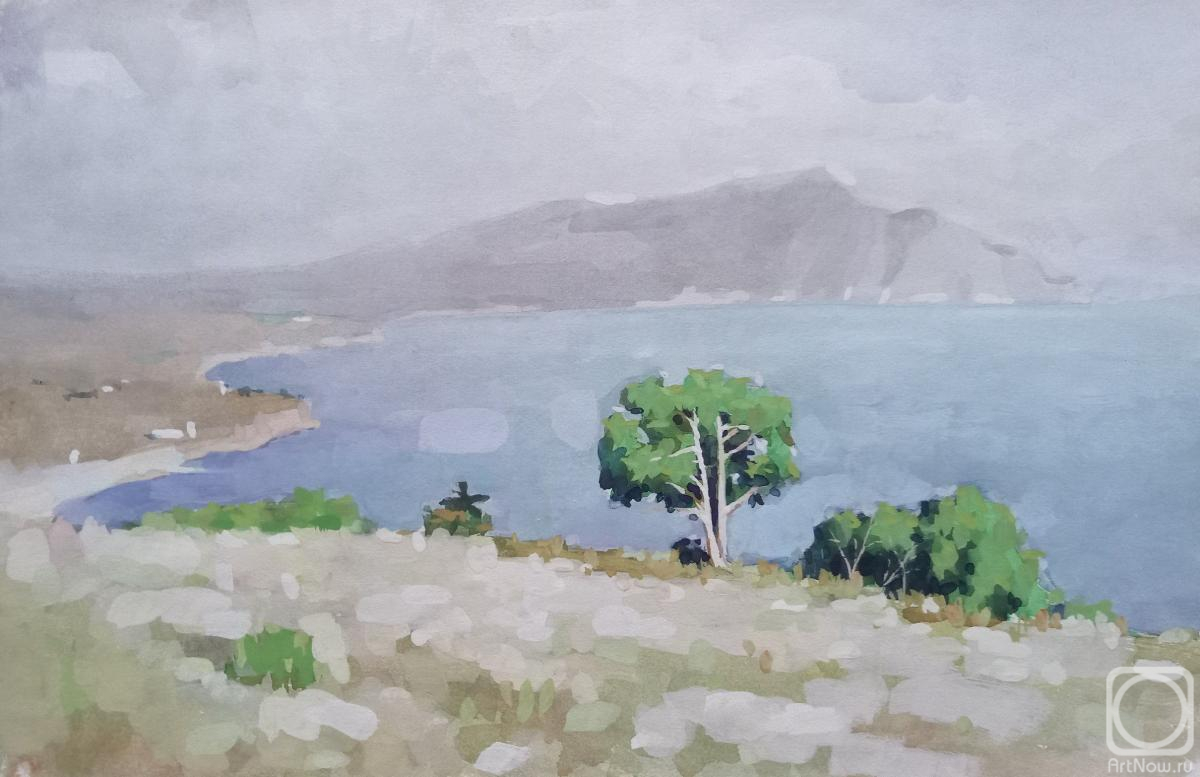 �������. ���������� ������. ����