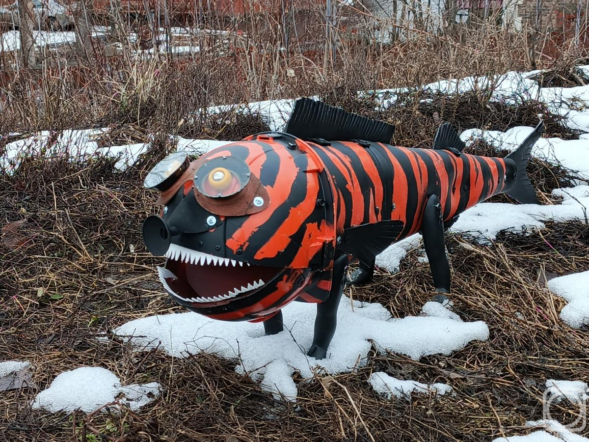 ������ �������. Wild walking fish