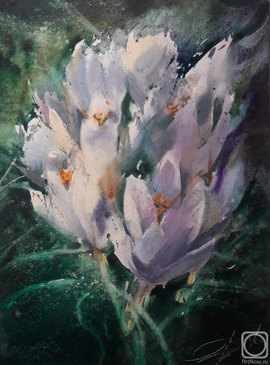 �������. ������� ��������. �����������