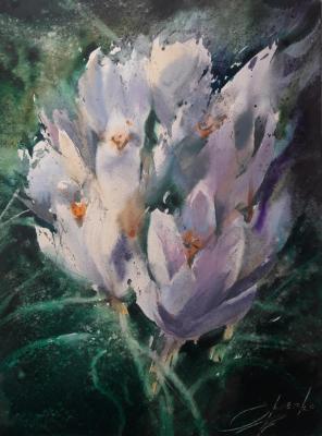 �����������. ������� ��������