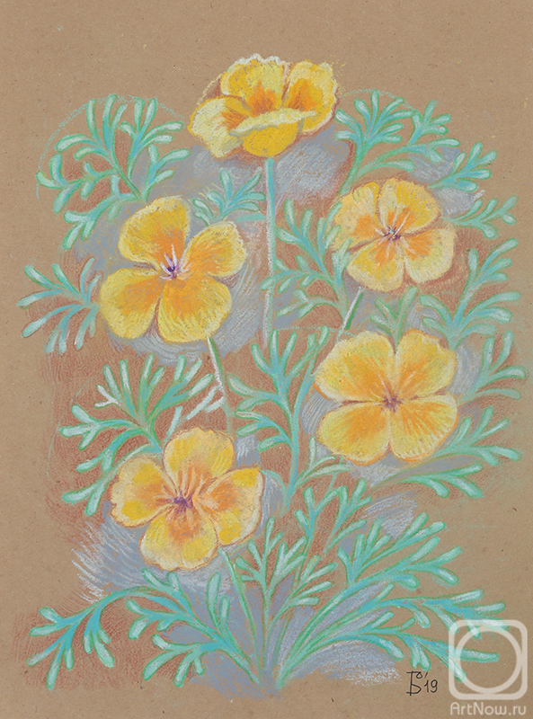 �������. �������� �����. ������ �����