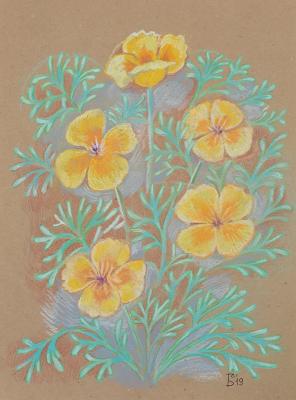 ������ �����