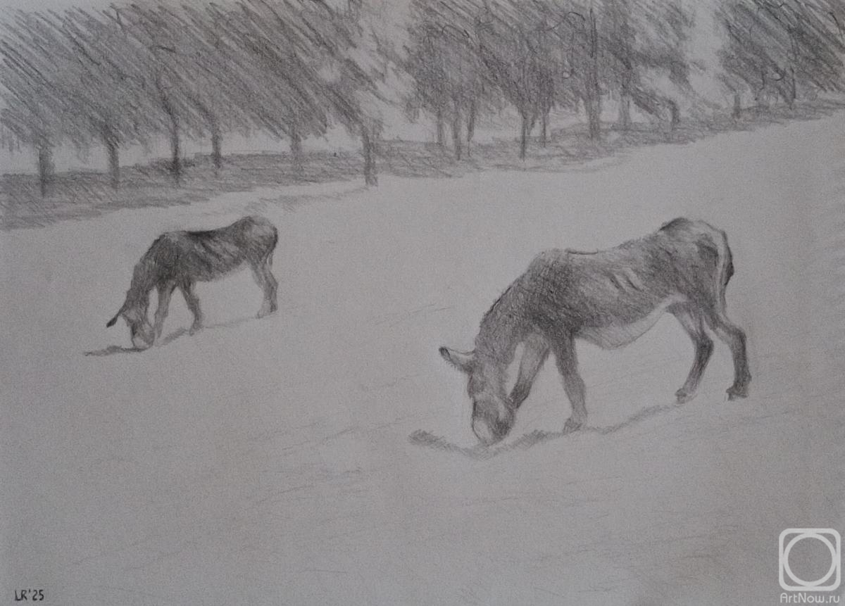 �������. ��������� �������. ������ �� ��������� ������