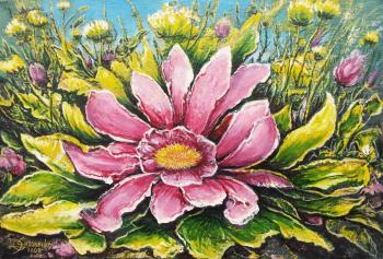 ������� ��� ��������� ����