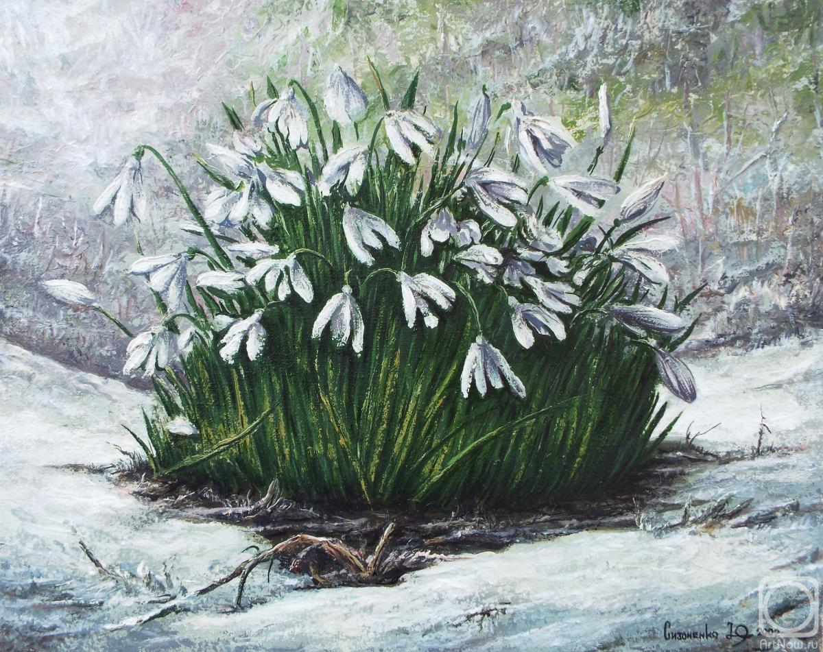 ������� ������ �� ������. ��������� ����. �����������