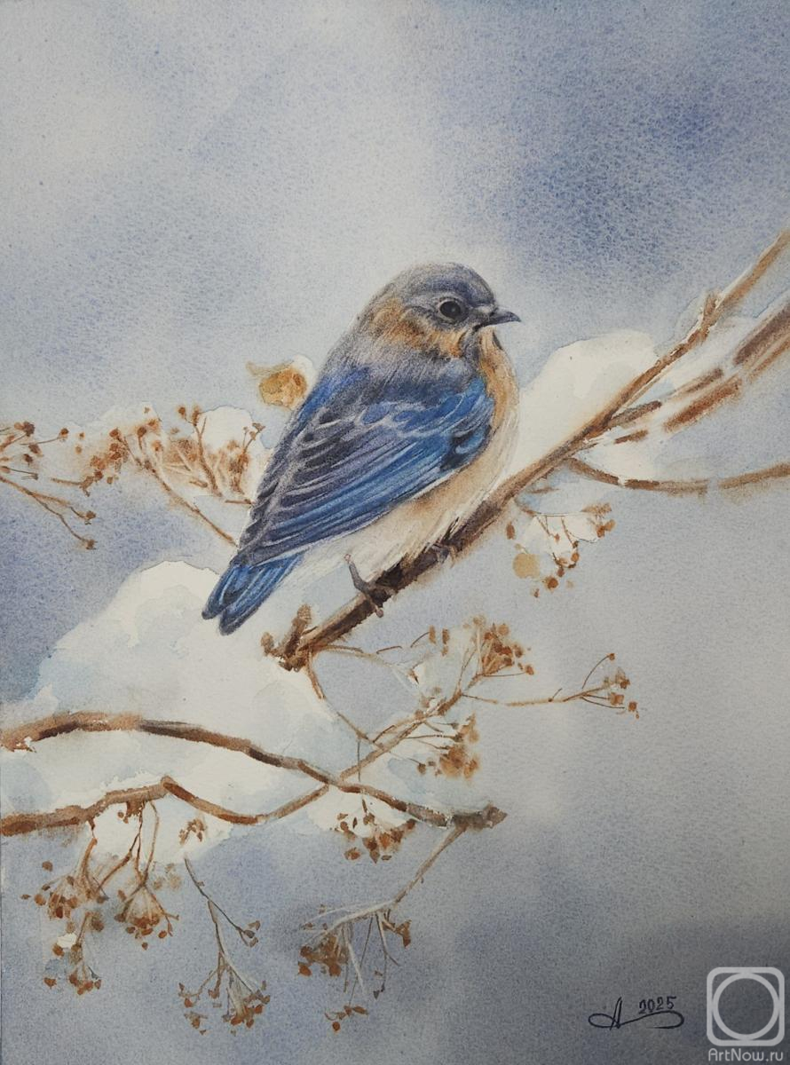 �������. ������� ����. ������ ����� ������