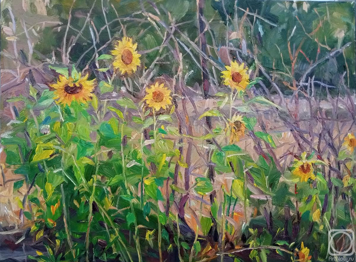 ������� ������ �� ������. ������� ��������. ����������� � ������