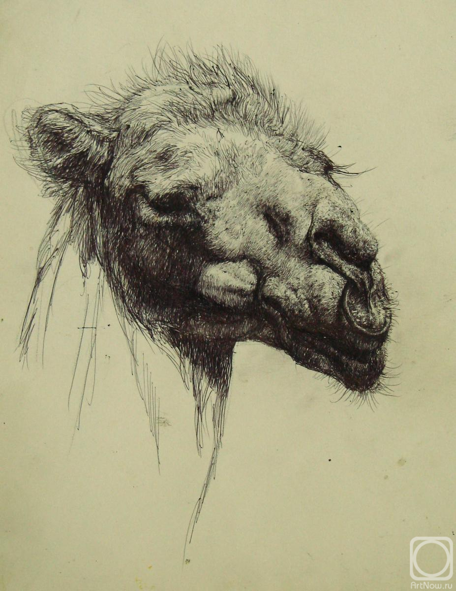 �������. ������ ������. �������