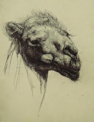 ������� ��������