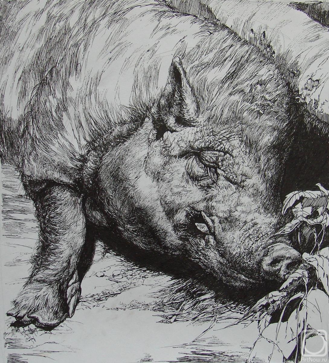 �������. ������ ������. ����������� ��������