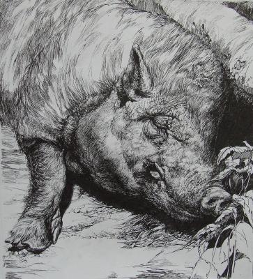 ����������� ��������. ������ ������