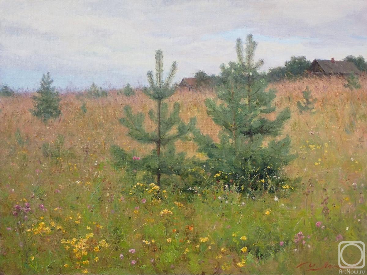 ������� ������ �� ������. ������� �����. ������� � ����