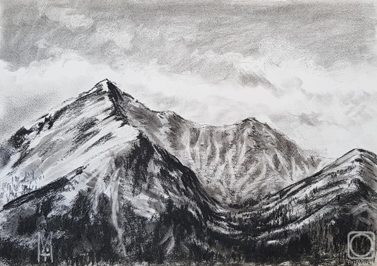 �������. �������� ������. ������ ����