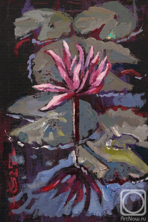 �������. ���� �����. ������ ����