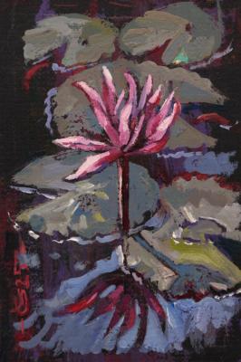 ������ ���� (�������). ���� �����