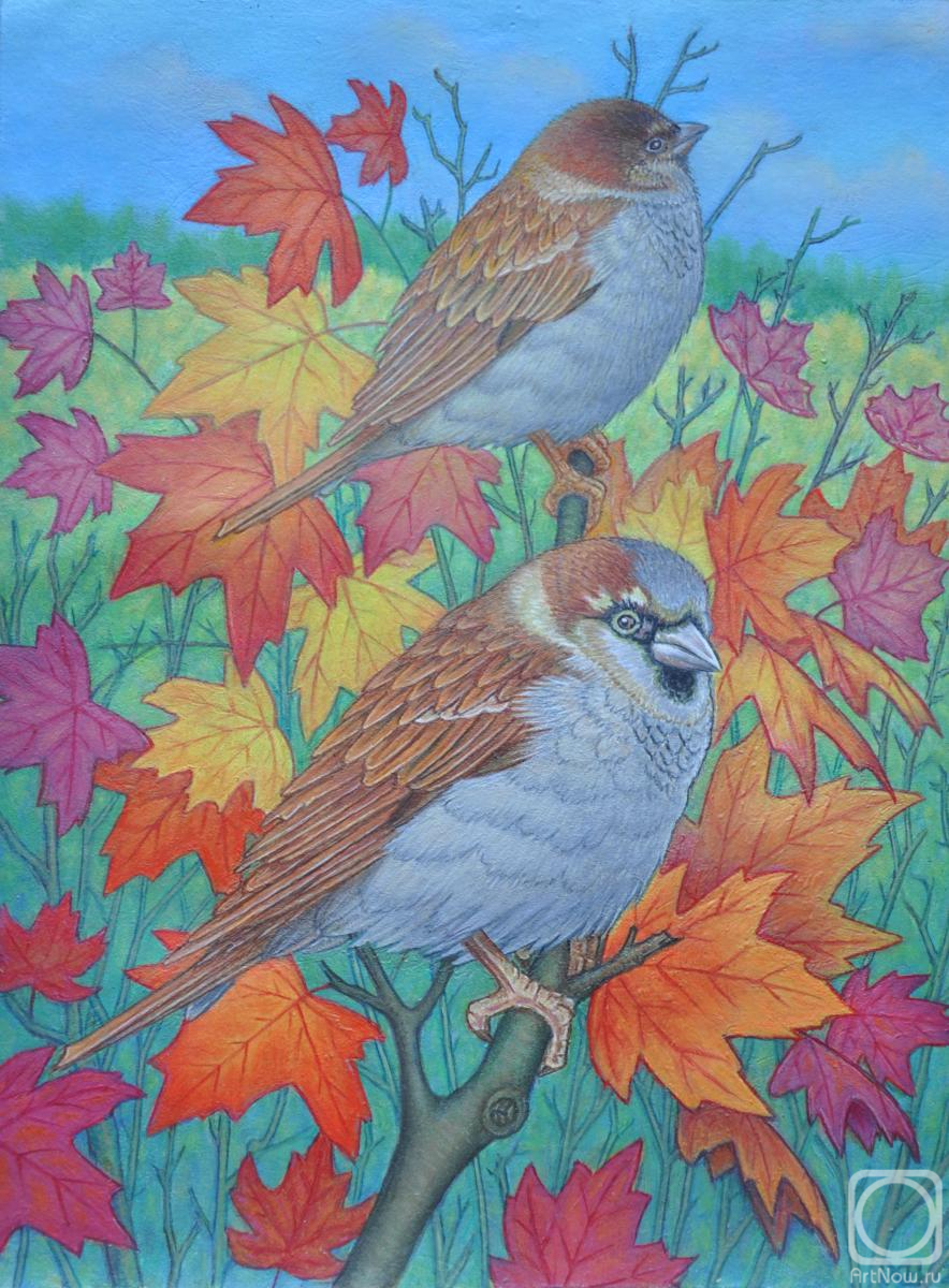 �������. ���������� ��������. �������