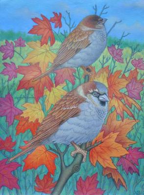 ������� ��������