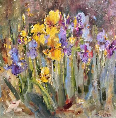 Iris (Iris Flowers). Malivani Diana