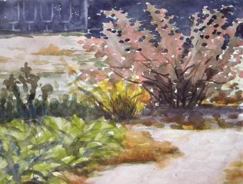 ���� ���������. ������ ������