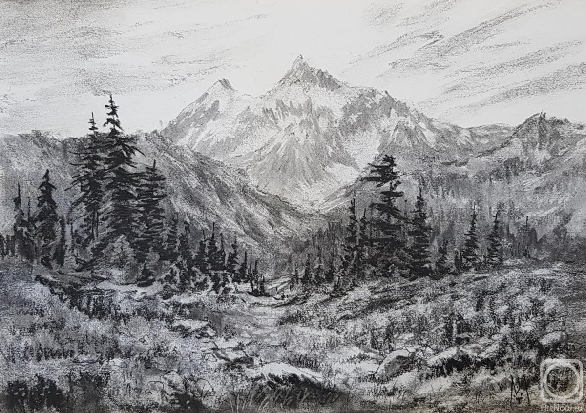 �������. �������� ������. ������ ������