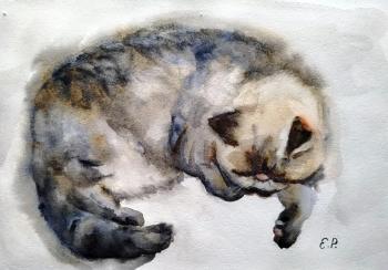 ������� ���. ���� �����