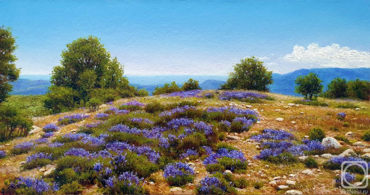 �������. ���������� ��������. ����. ������ �������. ������� �����